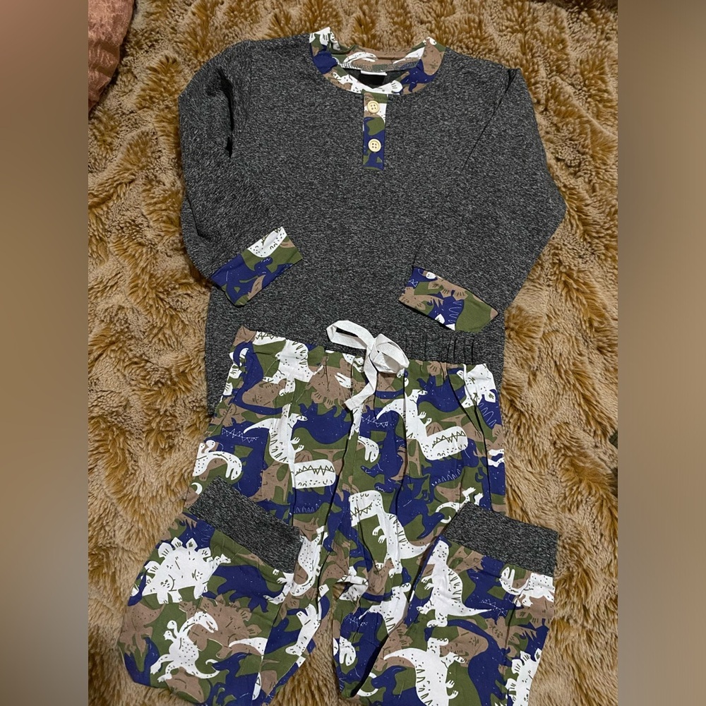 NWOT dinosaur matching set in size 2-3 years